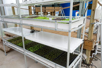 Sustainable Harvesters - Nov 2 2015 033