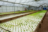 Sustainable Harvesters - Nov 2 2015 052