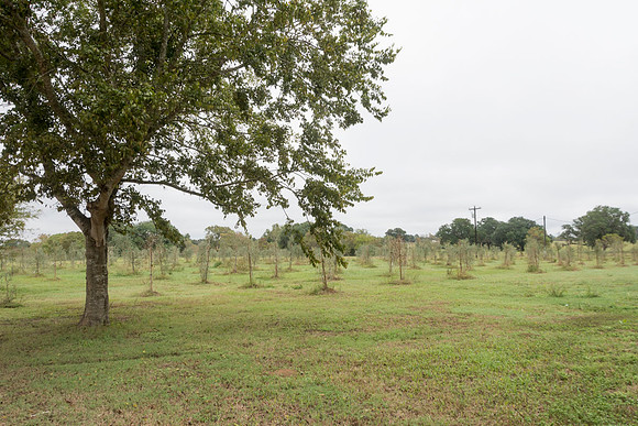 Sustainable Harvesters - Nov 2 2015 065