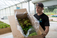 Sustainable Harvesters - Nov 2 2015 017