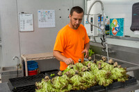 Sustainable Harvesters - Nov 2 2015 023