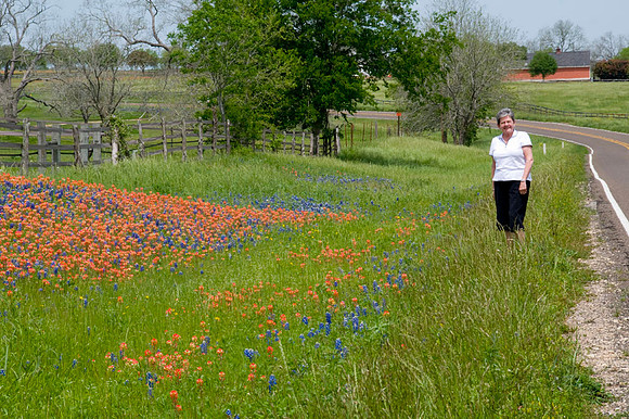 013 TX Wildflowers & Hill Country April 9-12 2010 012