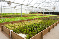 Sustainable Harvesters - Nov 2 2015 043
