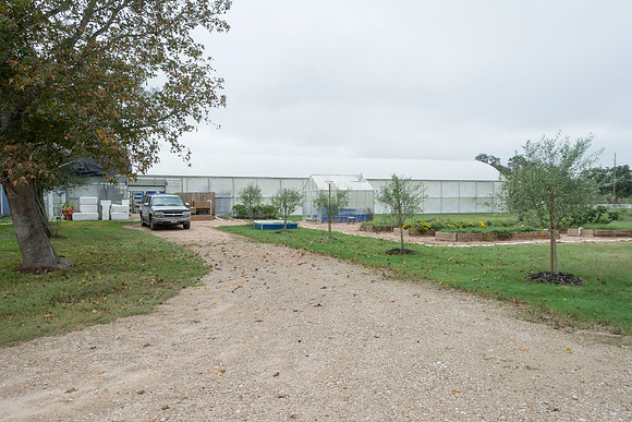 Sustainable Harvesters - Nov 2 2015 063
