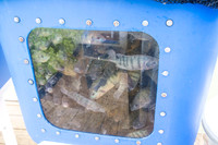 Sustainable Harvesters - Nov 2 2015 040