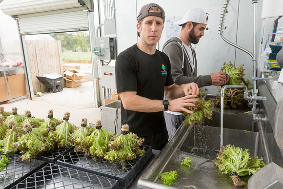 Sustainable Harvesters - Nov 2 2015 011
