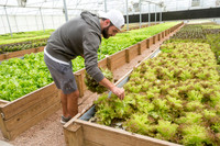 Sustainable Harvesters - Nov 2 2015 004