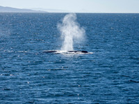 P3020222