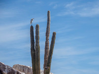 P3040336