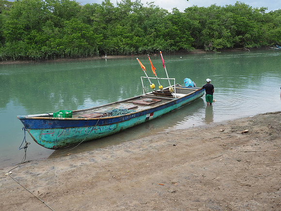 Rio Hato & Buenaventura Panama - January 2018 180